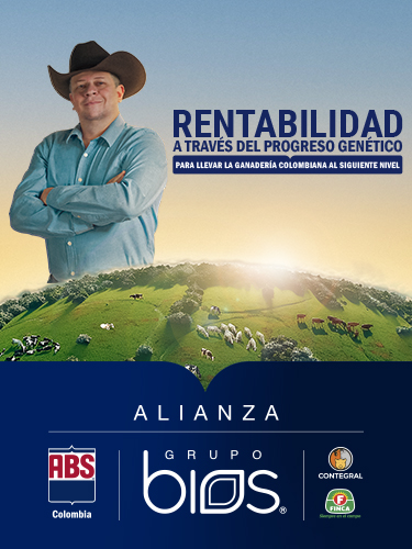 rentabilidad ABS